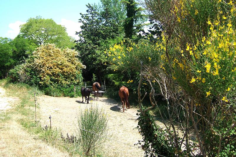 2011-05- (1524).JPG